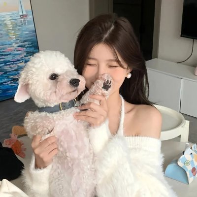 山河故人海报